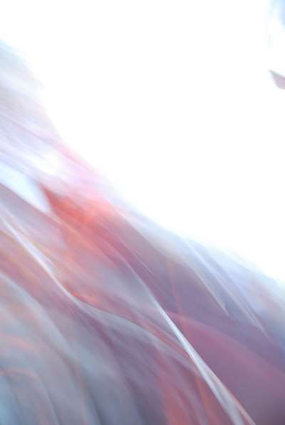 Abstract fine art photography to hang on a wall : Reincarnations 4