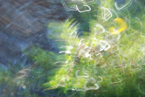 Buy abstract fine art : Soulflowers 9