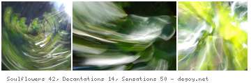 Soulflowers 42, Decantations 14, Sensations 50